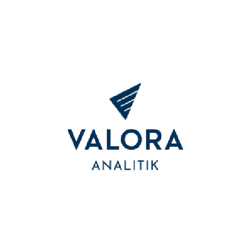 Valora Analitik